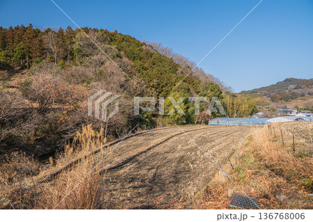 明日香の農村風景 奈良県明日香村 明日香の農村風景 奈良県明日香村 136768006