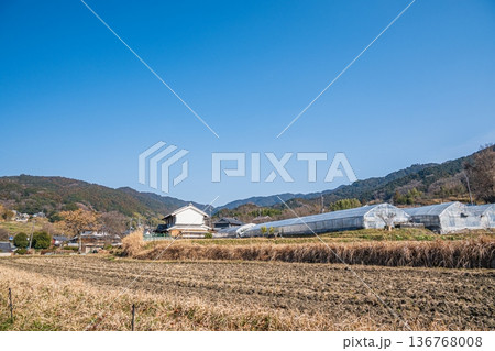 明日香の農村風景　奈良県明日香村 136768008