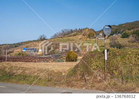 明日香村の景勝地 阪田の棚田 奈良県 明日香村の景勝地 阪田の棚田 奈良県 136768012