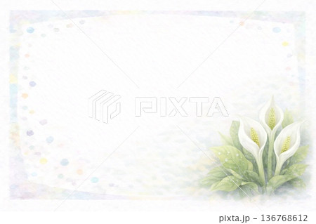 フレーム素材　花　ミズバショウ　水芭蕉 136768612