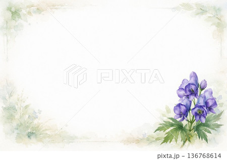 フレーム素材　花　トリカブト 136768614