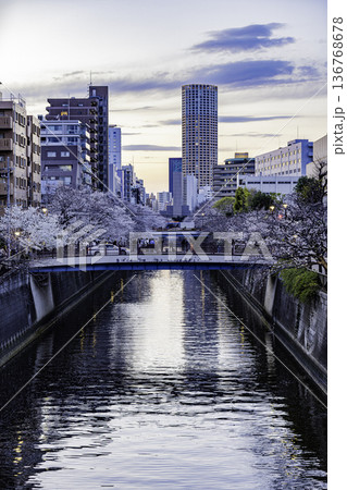 東京都　目黒川・桜祭り 136768678