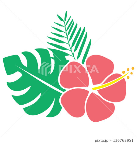 ピンクのハイビスカスとトロピカル植物のイラスト ― エキゾチックフラワーデザイン 136768951