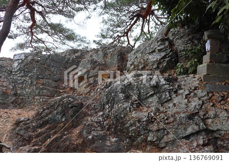 唐沢山城 天狗岩と祠（栃木県佐野市） 136769091