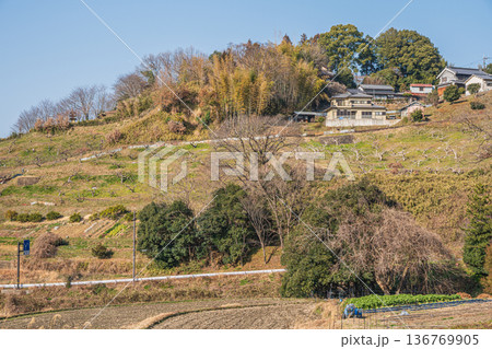 明日香の里山風景 奈良県明日香村 明日香の里山風景 奈良県明日香村 136769905