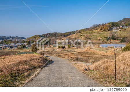 明日香村の景勝地　阪田の棚田　奈良県 136769909