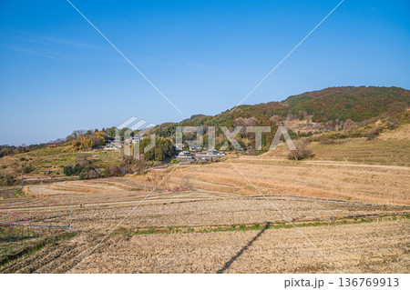 明日香村の景勝地 阪田の棚田 奈良県 明日香村の景勝地 阪田の棚田 奈良県 136769913
