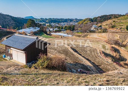 明日香村の景勝地 阪田の棚田 奈良県 明日香村の景勝地 阪田の棚田 奈良県 136769922