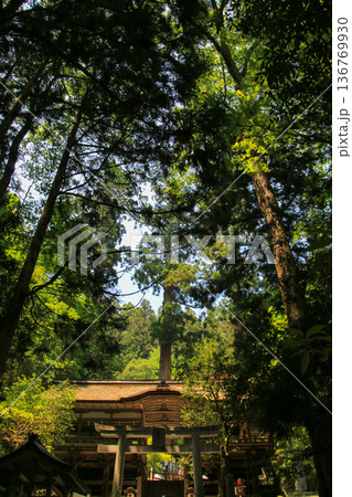 鞍馬寺 鞍馬寺 136769930