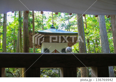鞍馬寺 136769942
