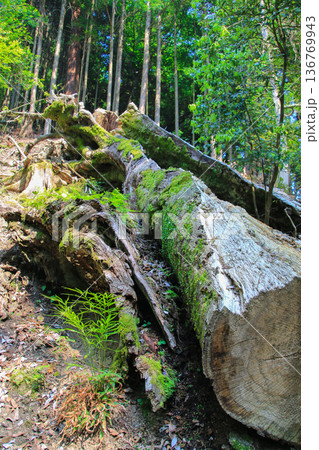 鞍馬寺 鞍馬寺 136769943