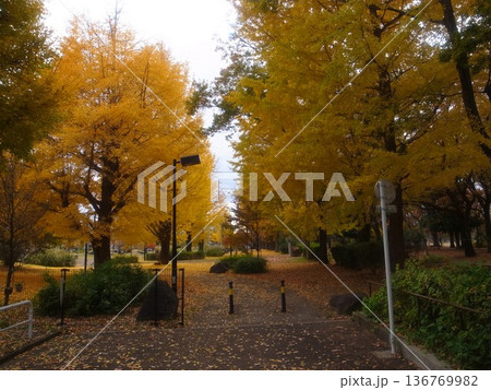 武蔵野中央公園 武蔵野中央公園 136769982