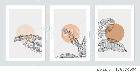 Minimalist botany poster template design, black banana leaves line art illustrations on grey Minimalist botany poster template design, black banana leaves line art illustrations on grey 136770084