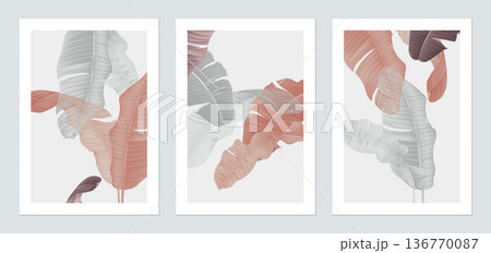 Botanical poster template design, red and white banana leaves illustrations on grey Botanical poster template design, red and white banana leaves illustrations on grey 136770087