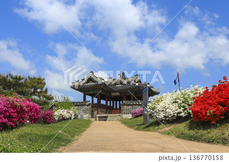 Spring scenery of Suwon Hwaseong Fortress, Suwon-si, South Korea. Spring scenery of Suwon Hwaseong Fortress, Suwon-si, South Korea. 136770158