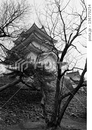 伊賀上野城天守閣 136770254