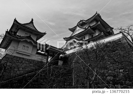 伊賀上野城天守閣 伊賀上野城天守閣 136770255