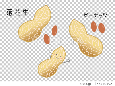 落花生とピーナッツのイラスト 落花生とピーナッツのイラスト 136770492