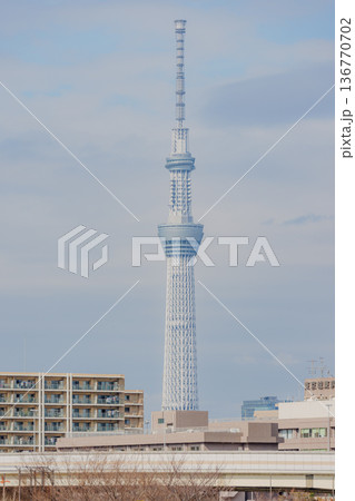 大島小松川公園から見たスカイツリー 136770702