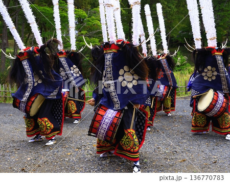 神楽の国のお祭りで、神楽をとる 神楽の国のお祭りで、神楽をとる 136770783