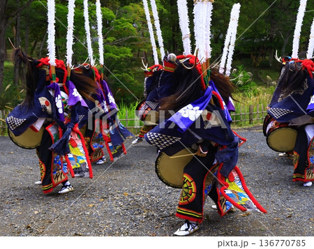 神楽の国のお祭りで、神楽をとる 神楽の国のお祭りで、神楽をとる 136770785