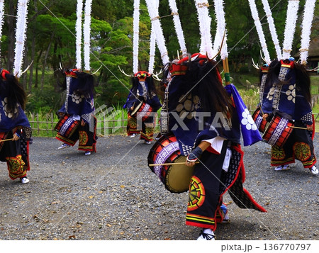 神楽の国のお祭りで、神楽をとる 神楽の国のお祭りで、神楽をとる 136770797