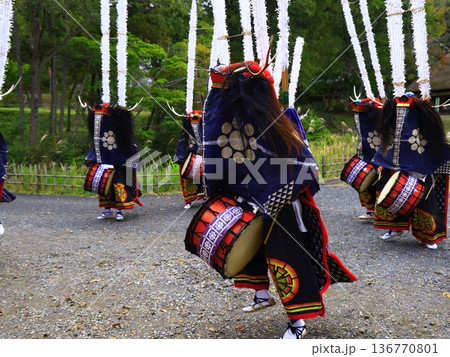 神楽の国のお祭りで、神楽をとる 136770801
