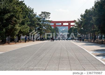 冬の平安神宮参道 冬の平安神宮参道 136770987