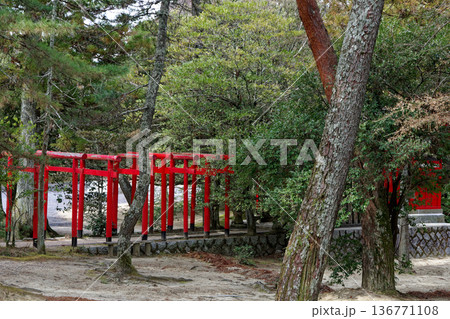 三重県伊賀市伊賀上野公園風景 三重県伊賀市伊賀上野公園風景 136771108