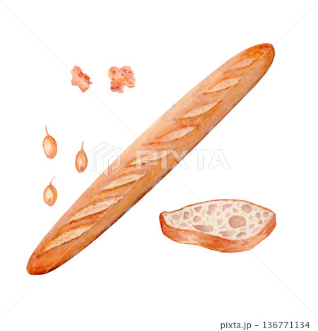 Baguette loaf with slice and wheat grains, hand-painted watercolor illustration isolated on white background. Ideal for bakery branding, menu layouts, food packaging, recipe books and artisan labels Baguette loaf with slice and wheat grains, hand-painted watercolor illustration isolated on white background. Ideal for bakery branding, menu layouts, food packaging, recipe books and artisan labels 136771134