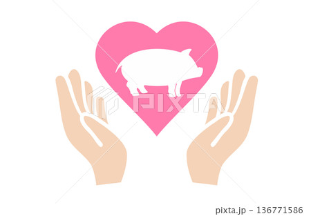 豚のハートを持つ両手のイラスト 豚のハートを持つ両手のイラスト 136771586