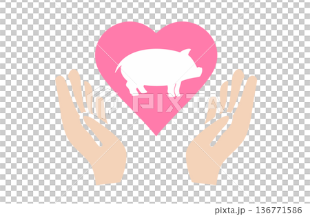 兩隻手捧著豬心的插圖 136771586
