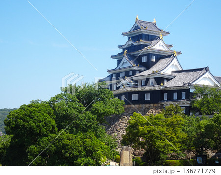 岡山城(岡山県岡山市)_2025年7月撮影 岡山城(岡山県岡山市)_2025年7月撮影 136771779