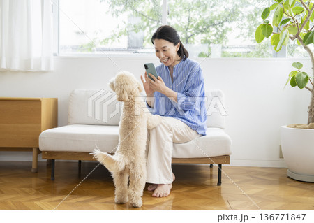 愛犬とスマートフォンを持ったミドルの女性　犬との暮らし　イメージ 136771847