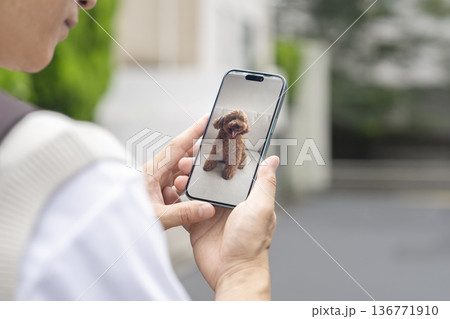 スマホで留守番中の愛犬の様子を確認する男性の手元　ペットカメラと連携するスマホ　イメージ 136771910
