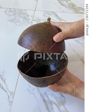カラバッシュの実で作った器 カラバッシュの実で作った器 136772164