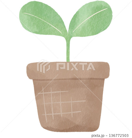 双葉の新芽を描いたエコイラスト｜植物・成長・環境保護を表現するナチュラルデザイン素材 136772503