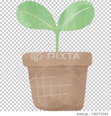 双葉の新芽を描いたエコイラスト｜植物・成長・環境保護を表現するナチュラルデザイン素材 136772503
