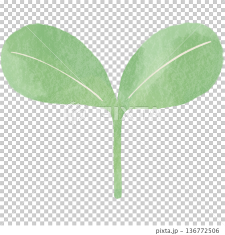 新葉萌發的生態插畫 | 展現植物、生長與環境保護的自然設計素材 新葉萌發的生態插畫 | 展現植物、生長與環境保護的自然設計素材 136772506