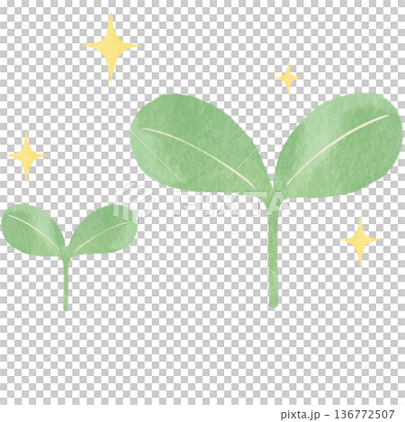 Ecological illustration of a new leaf sprout | Natural design material expressing plants, growth, and environmental protection Ecological illustration of a new leaf sprout | Natural design material expressing plants, growth, and environmental protection 136772507