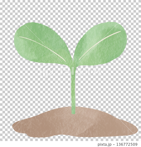 新葉萌發的生態插畫 | 展現植物、生長與環境保護的自然設計素材 新葉萌發的生態插畫 | 展現植物、生長與環境保護的自然設計素材 136772509