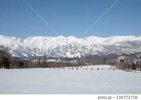 雪原に拡がる冬の北アルプス　長野県白馬村 136772716