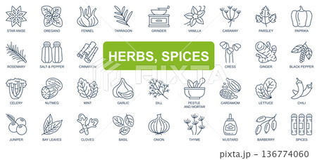 Herbs, spices concept simple line icons set. Bundle of star anise, oregano, vanilla, paprika, rosemary, salt, pepper, cinnamon and other. Vector pack outline symbols for website or mobile app design Herbs, spices concept simple line icons set. Bundle of star anise, oregano, vanilla, paprika, rosemary, salt, pepper, cinnamon and other. Vector pack outline symbols for website or mobile app design 136774060