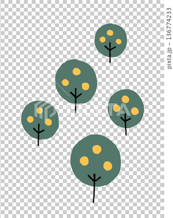 Cute and stylish mandarin orange tree illustration 136774233