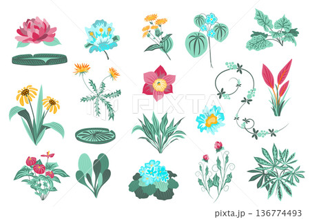 Flower and plants isolated set. Garden and wild foliage, green leaves, blooming wildflowers, flowering plants, beautiful herbs. Bundle of floral elements. Vector illustration in hand drawn design 136774493