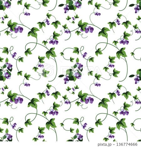 Summer flowers and leaves pattern seamless. Abstract grapevine with blue grapes, leaves and twigs curls endless ornate backdrop. Botanical garden wallpaper. Vector illustration with floral texture 136774666