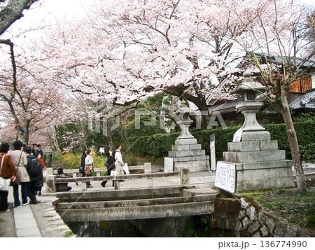 哲学の道(大豊橋)(京都市左京区) 哲学の道(大豊橋)(京都市左京区) 136774990