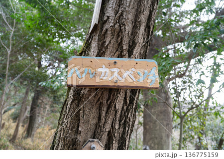 飯盛山の北條神社コースにあるハルカスベンチ（大阪府大東市） 136775159