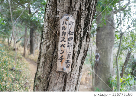 飯盛山の北條神社コースにあるハルカスベンチ(大阪府大東市) 飯盛山の北條神社コースにあるハルカスベンチ(大阪府大東市) 136775160