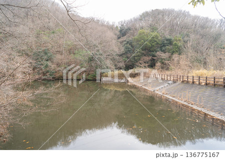 辻の新池（大阪府大東市の飯盛山） 136775167